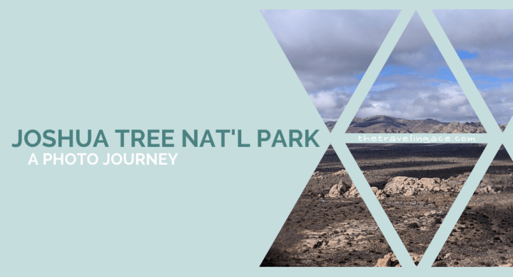 Joshua Tree, Pt.&nbsp;2